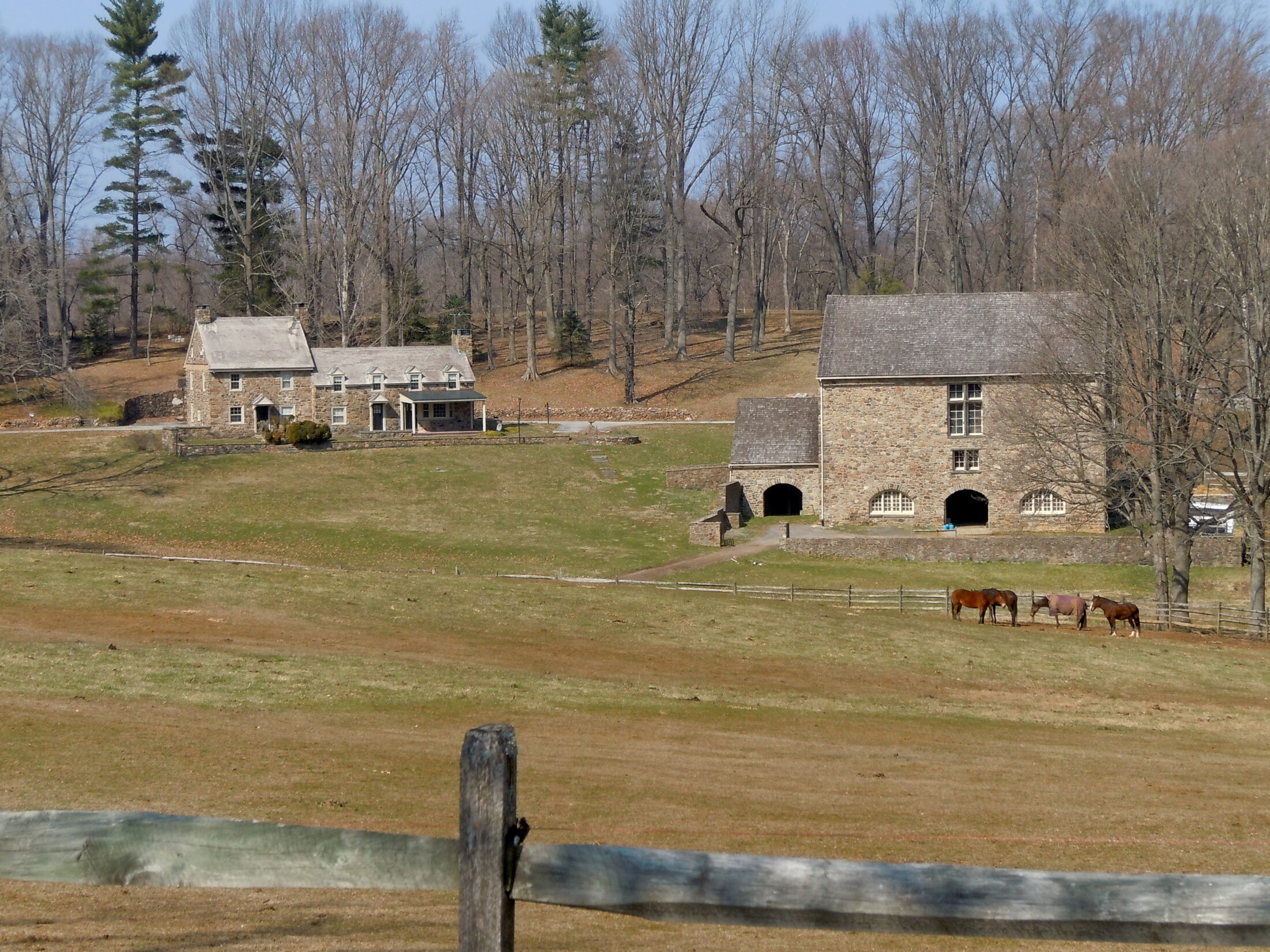 Chester County residential landscape